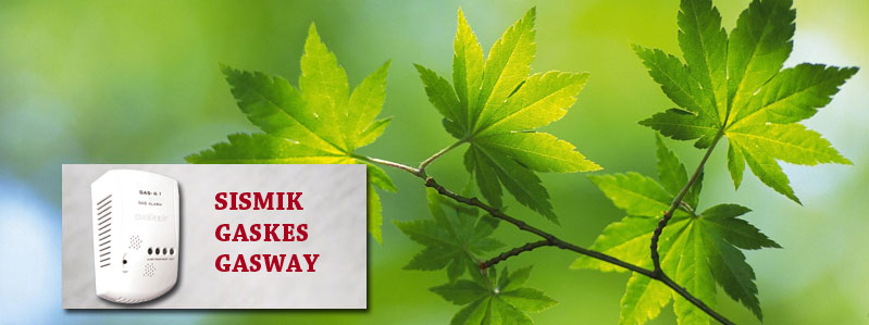 Customize Your Title Bar Freely!